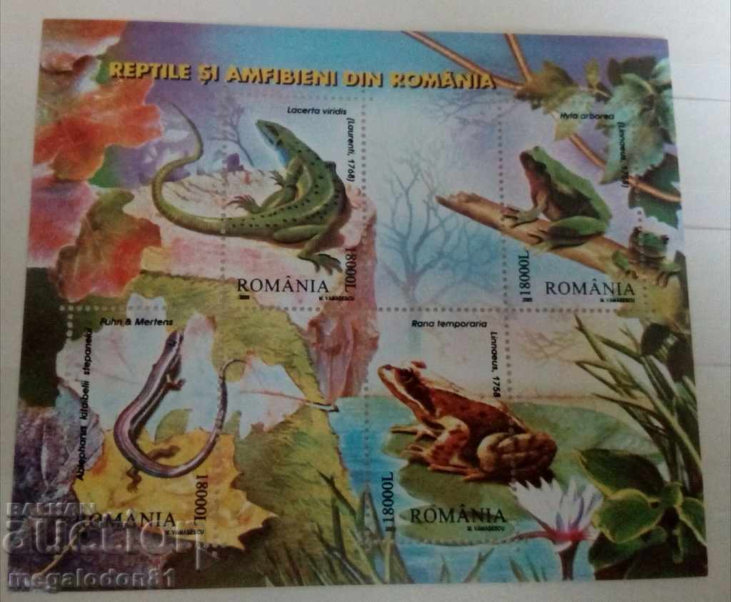 Romania - amphibians
