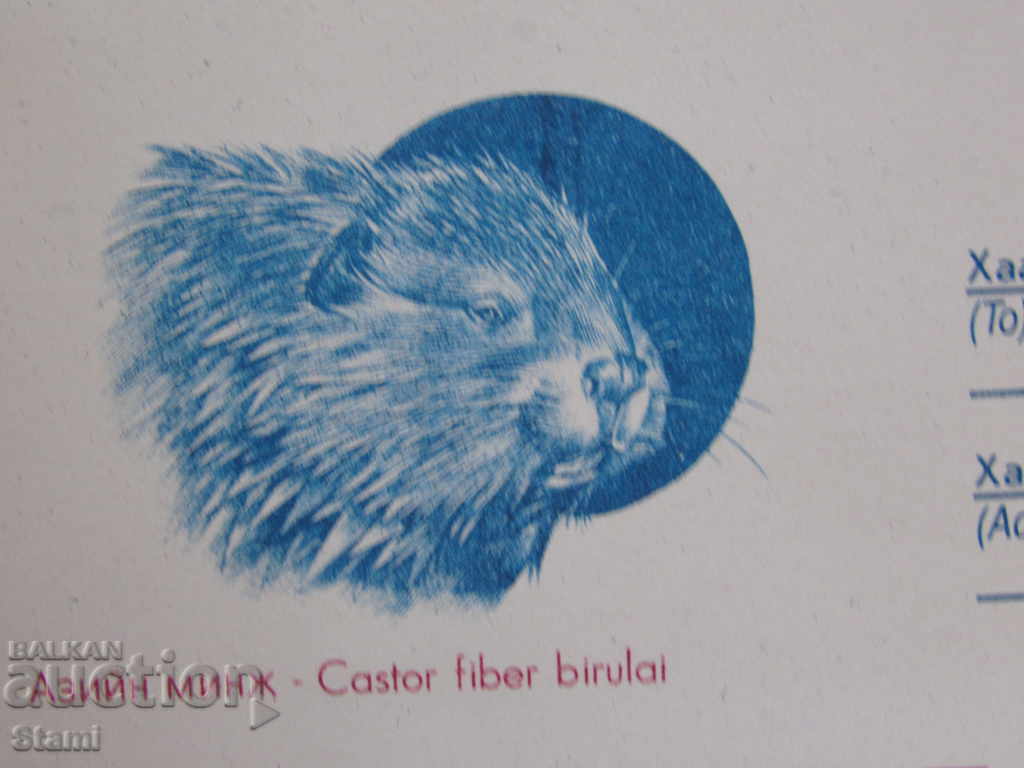 Аукцион Нов пощенски плик-Монголия-2020-година на плъха Аукцион Нов пощенски плик-Монголия-2020-година на плъха