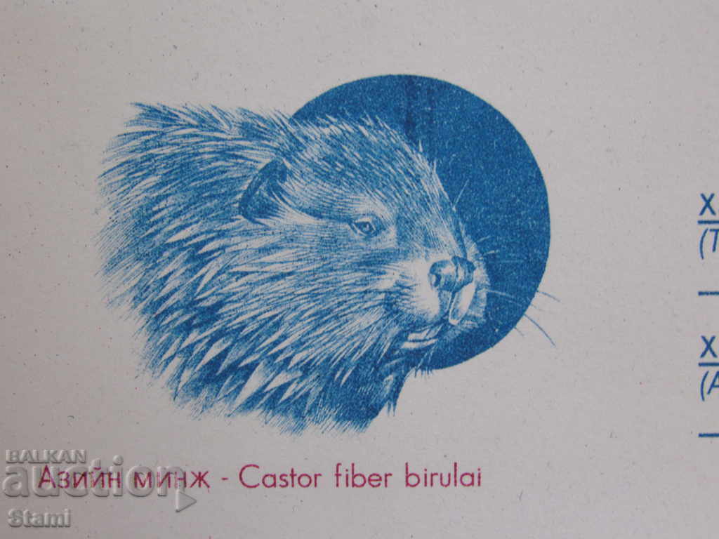 Доставка на Нов пощенски плик-Монголия-2020-година на плъха Доставка на Нов пощенски плик-Монголия-2020-година на плъха