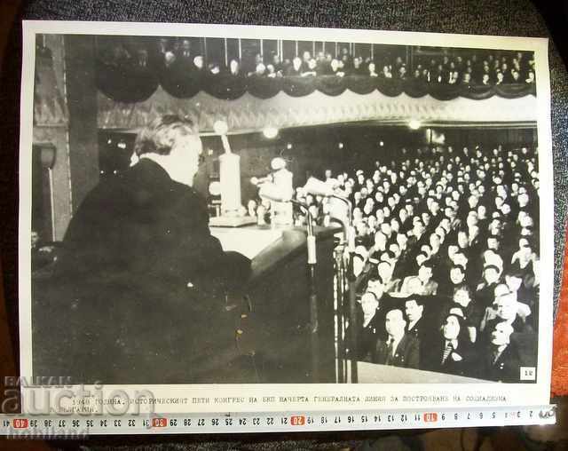 Auction Great animation photography Auction Great animation photography