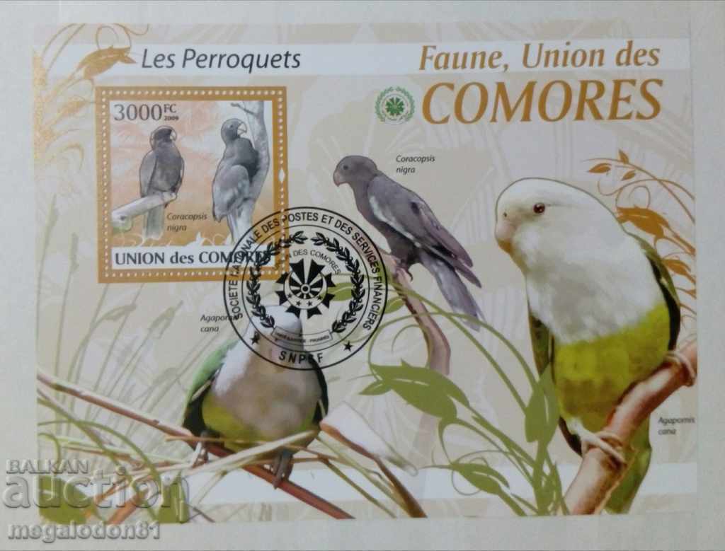 Comoros are fauna, parrots