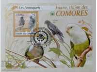 Comoros are fauna, parrots