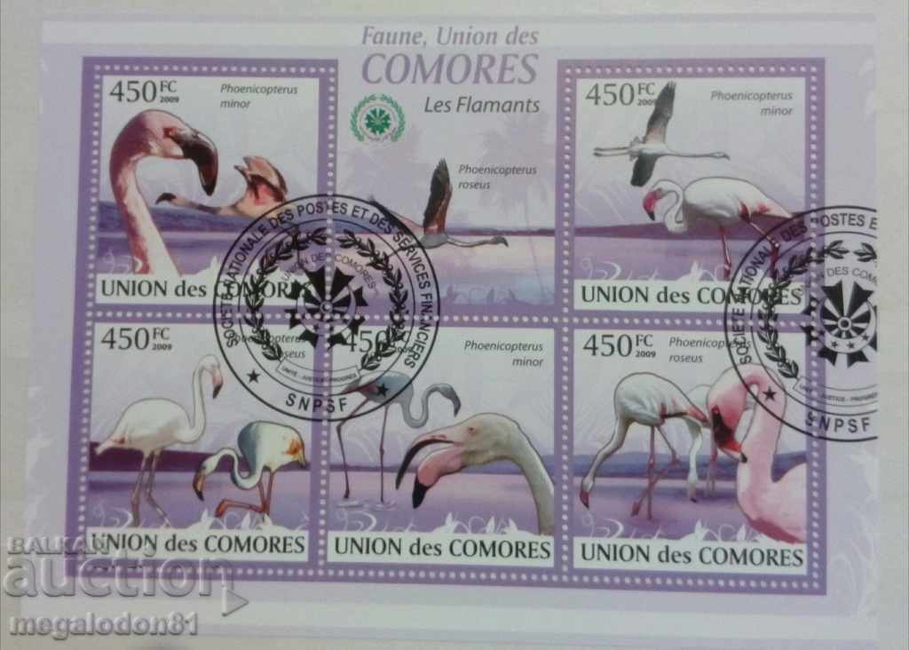 Comoros - fauna, flamingos