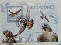 Comoros are fauna, falcons