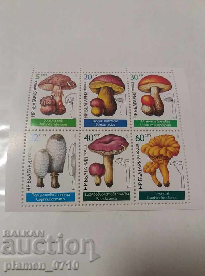 3573 - 3578 Edible mushrooms. - BLOCK