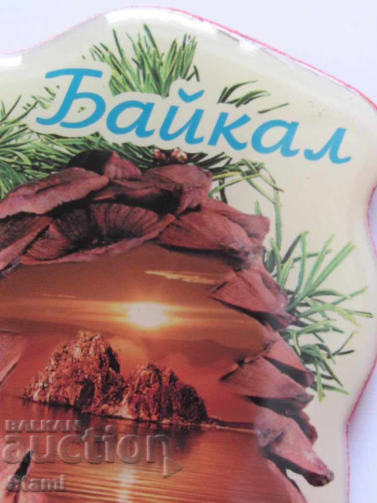 Auction Authentic 3D magnet from Lake Baikal, Russia-Series-30 Auction Authentic 3D magnet from Lake Baikal, Russia-Series-30