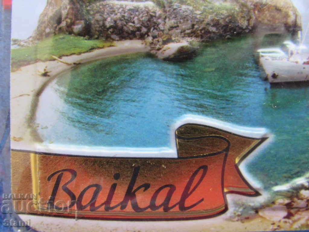 Auction Authentic 3D magnet from Lake Baikal, Russia-series-1 Auction Authentic 3D magnet from Lake Baikal, Russia-series-1
