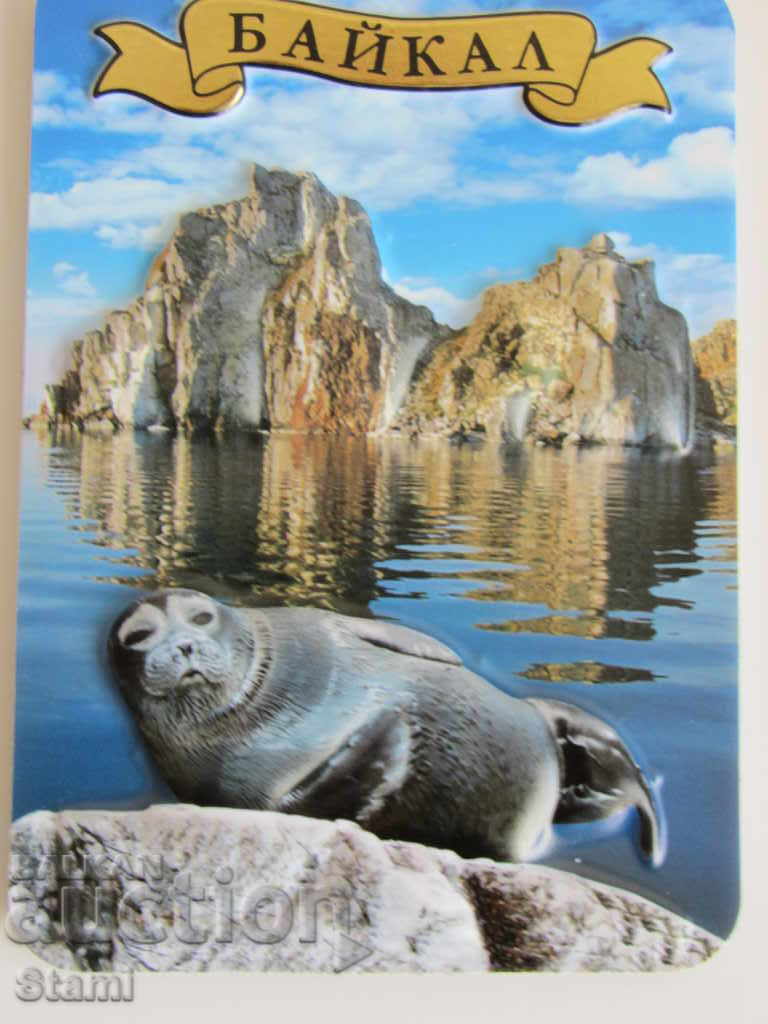 Auction Authentic 3D magnet from Lake Baikal, Russia-series-1 Auction Authentic 3D magnet from Lake Baikal, Russia-series-1