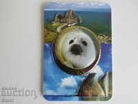 Authentic 3D magnet from Lake Baikal, Russia-Series-35