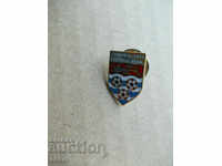 Cayman Islands football badge federation football sign