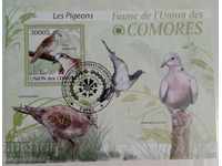 Comoros - fauna, pigeons