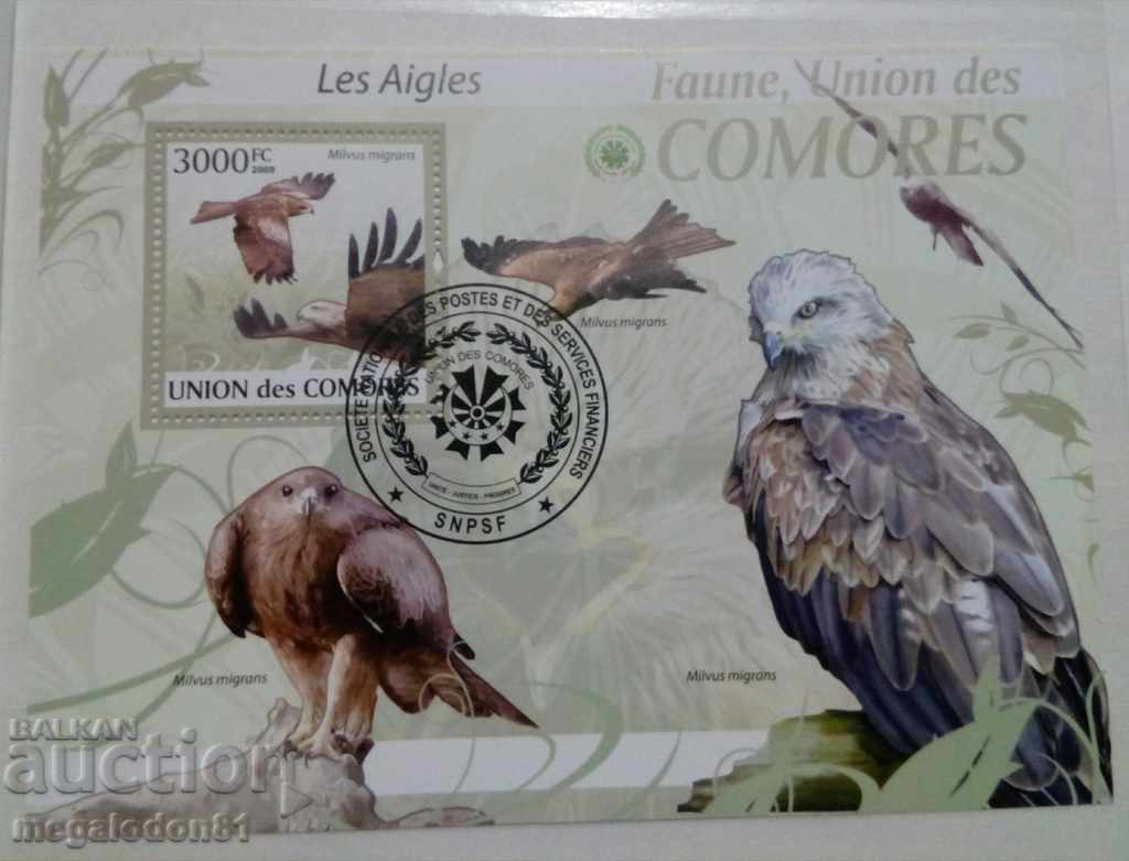 Comore - faună, vulturi