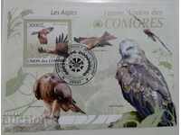Comoros - fauna, eagles
