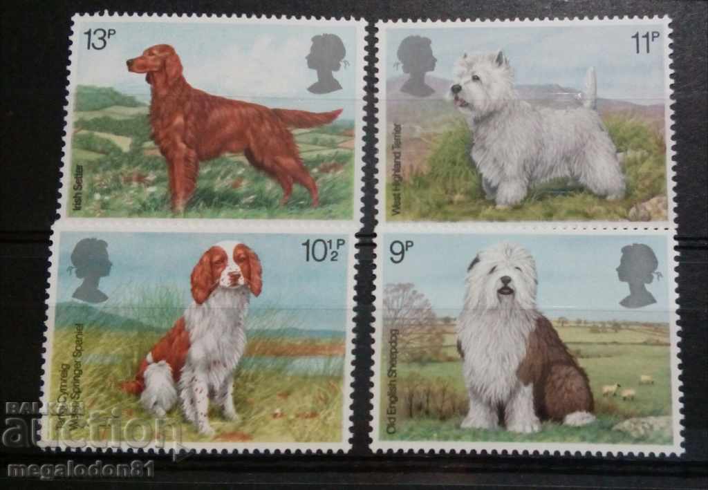 Great Britain - breeds of dogs