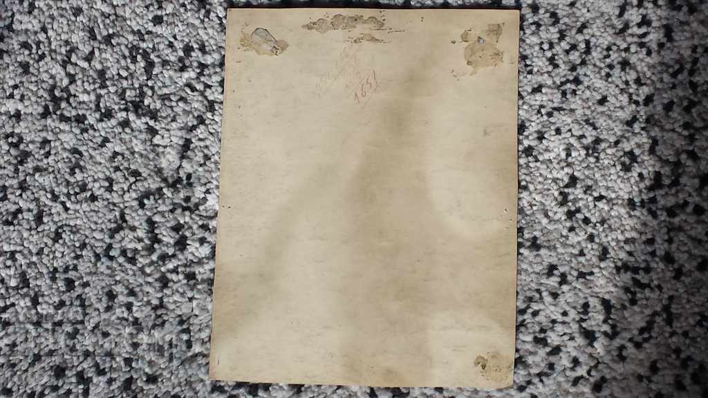 PORTRAIT OF A WOMAN COLORED PEN - 5 PORTRAIT OF A WOMAN COLORED PEN - 5