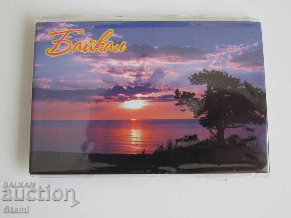 Auction An authentic magnet from Lake Baikal, Russia-Series-45 Auction An authentic magnet from Lake Baikal, Russia-Series-45