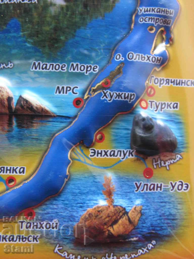 Auction Authentic 3D magnet from Lake Baikal, Russia-Series-35 Auction Authentic 3D magnet from Lake Baikal, Russia-Series-35