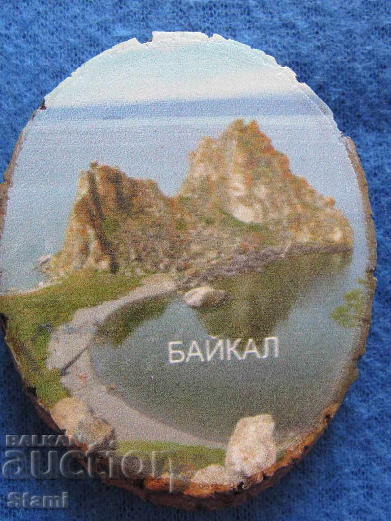 An authentic magnet from Lake Baikal, Russia-Series-49