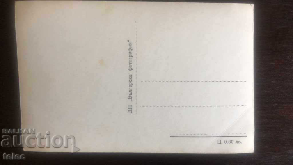 Delivery of Two Old Cards from Shumen / Kolarovgrad Delivery of Two Old Cards from Shumen / Kolarovgrad