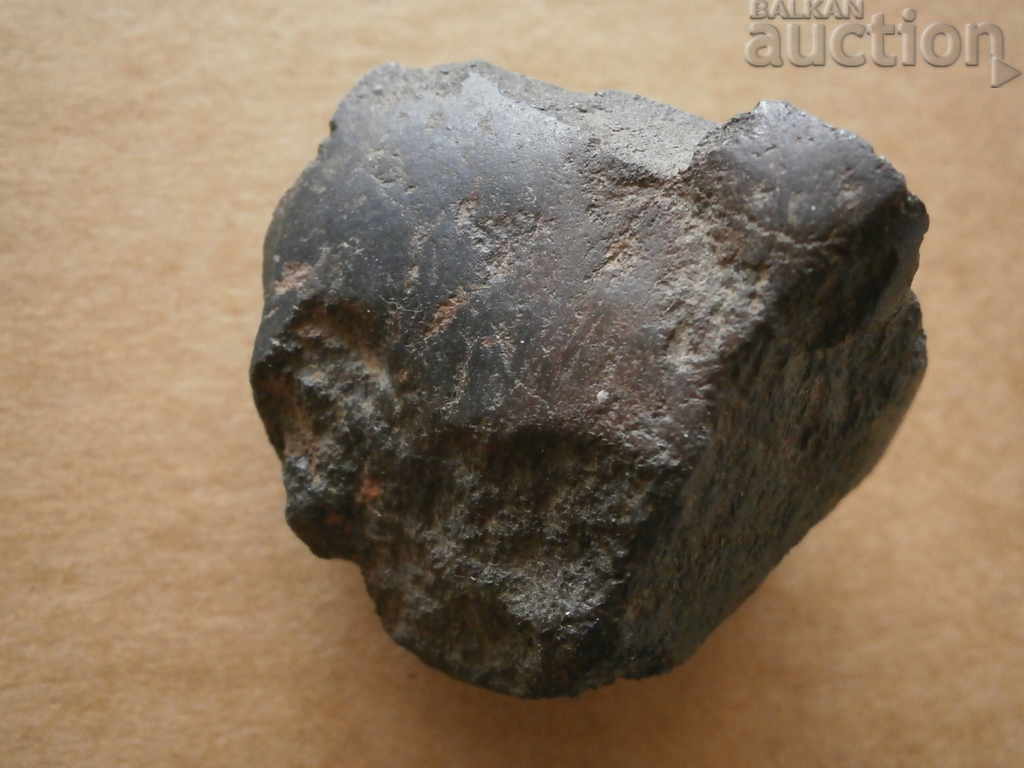 Auction  meteorite