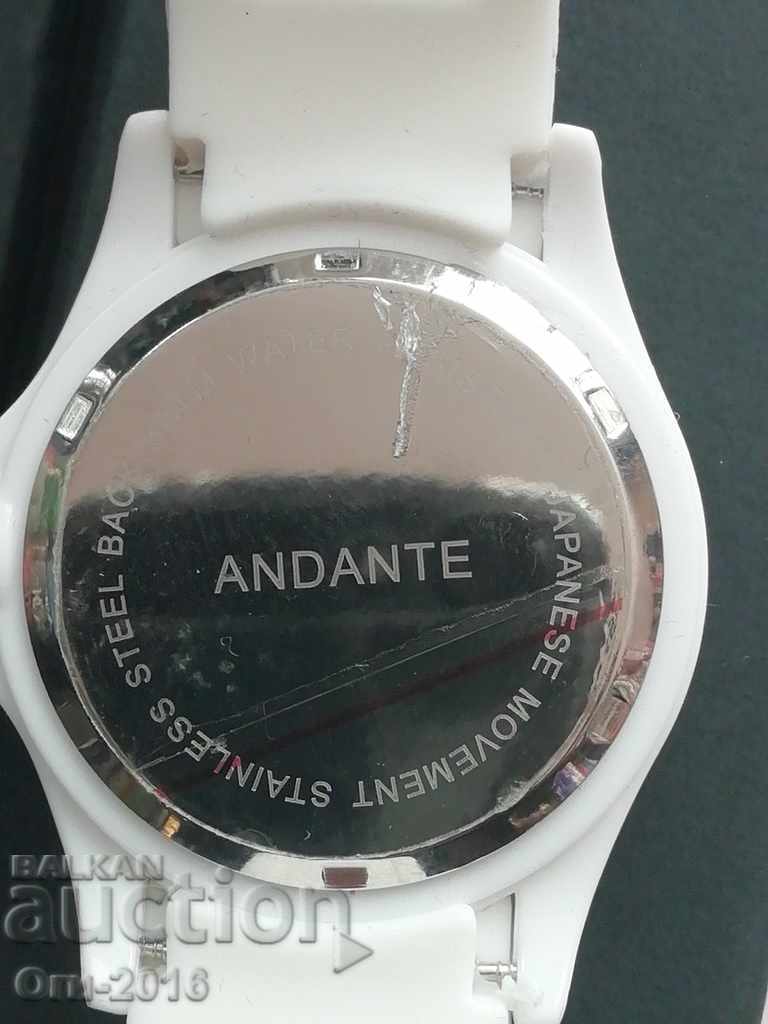 Delivery of ANDANTE Sport Watch