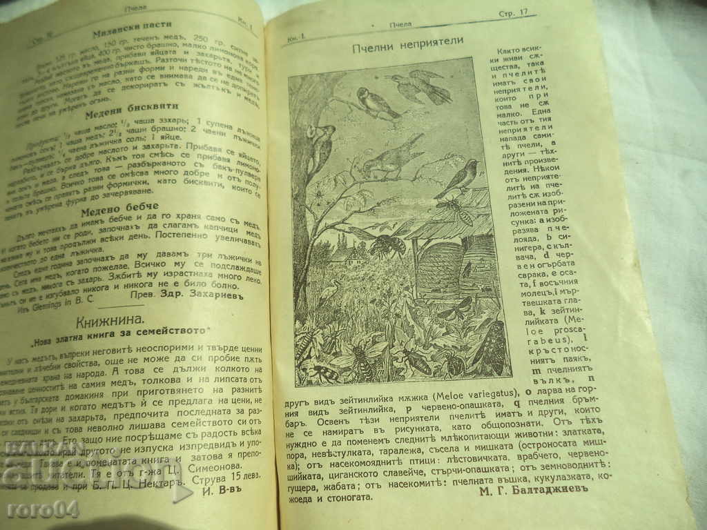 BEES - YEAR XXX Book I - 1937 - 5 BEES - YEAR XXX Book I - 1937 - 5