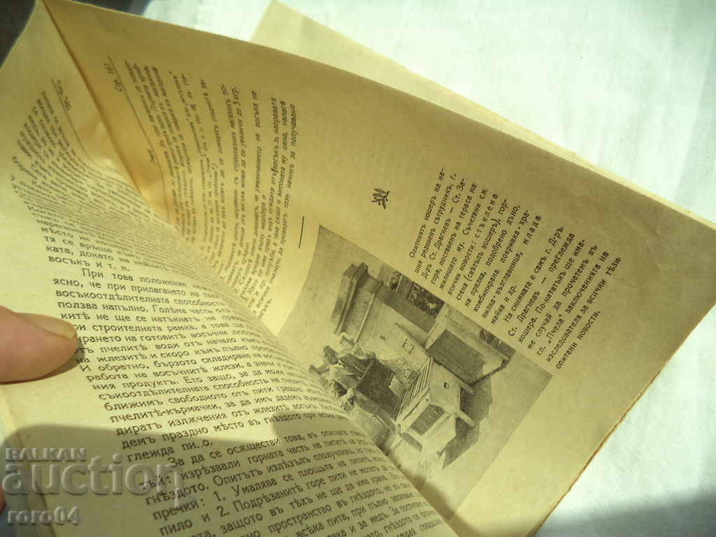 BEES - YEAR XXX Book VII - 1937 - 5 BEES - YEAR XXX Book VII - 1937 - 5