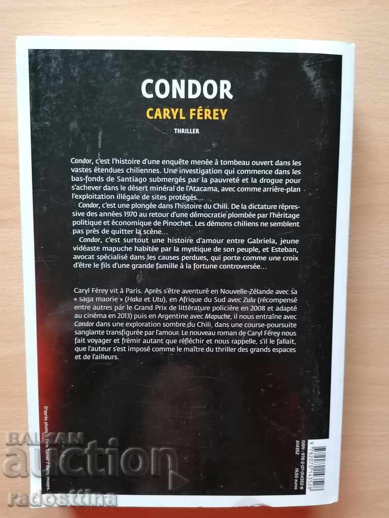Condor Caryl Ferey Serie noire - 6 Condor Caryl Ferey Serie noire - 6