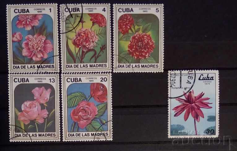 Κούβα Χλωρίδα / Στίγμα λουλουδιών