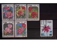 Cuba Flora / Flowers Stigma
