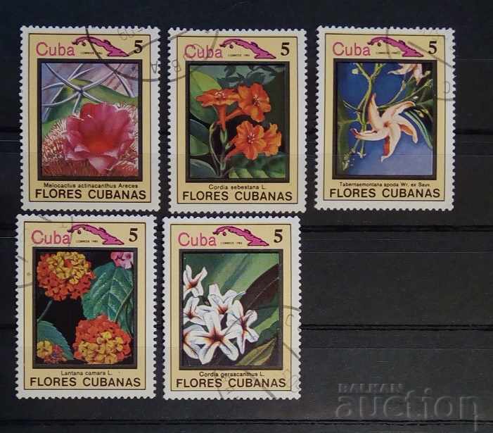 Cuba Flora / Flowers Stigma