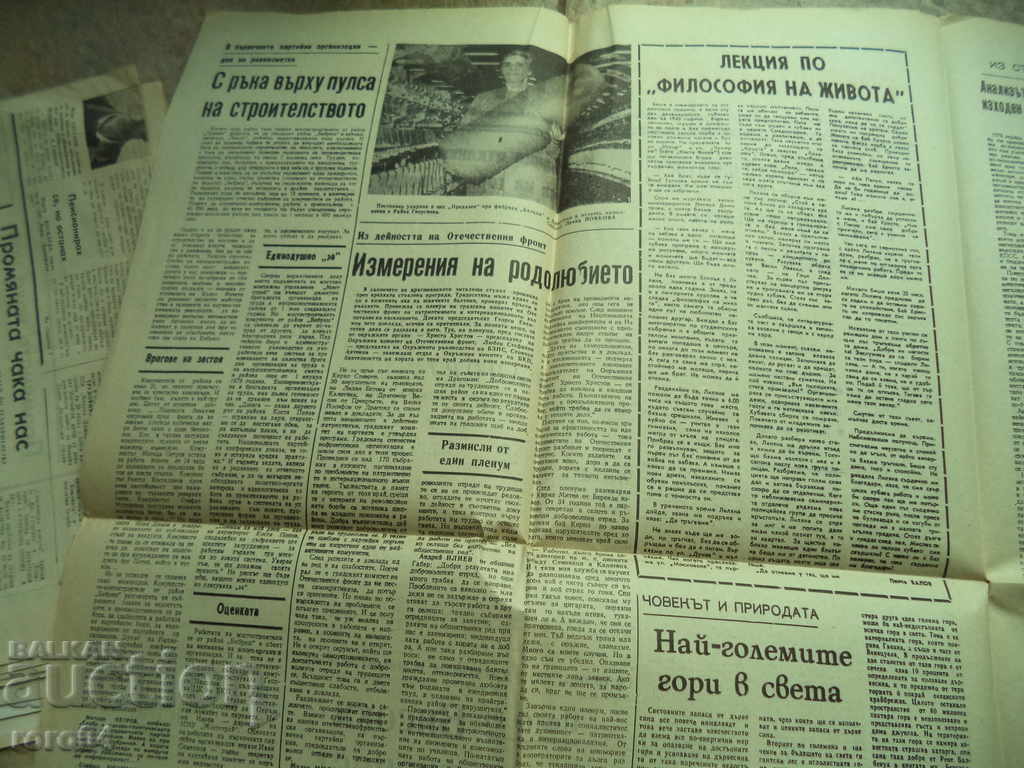 Auction NIKOLA KARSTOYANOV Auction NIKOLA KARSTOYANOV