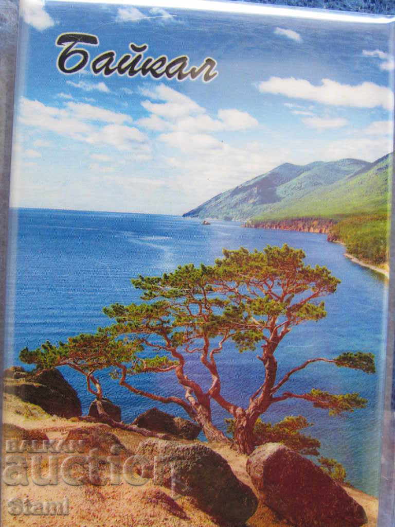 Auction Authentic magnet from Lake Baikal, Russia-31 series Auction Authentic magnet from Lake Baikal, Russia-31 series