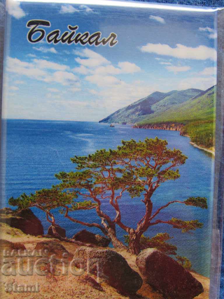 Authentic magnet from Lake Baikal, Russia-31 series