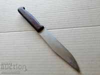 Old butcher knife