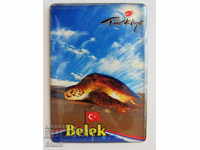 Metal magnet from Belek, Turkey-10