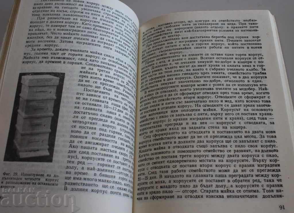Συμβουλές για τον μελισσοκόμο μέλι μέλισσα μέλι μελισσοκόμος με τιμή 25.00 BGN | € 12.78 Συμβουλές για τον μελισσοκόμο μέλι μέλισσα μέλι μελισσοκόμος με τιμή 25.00 BGN | € 12.78