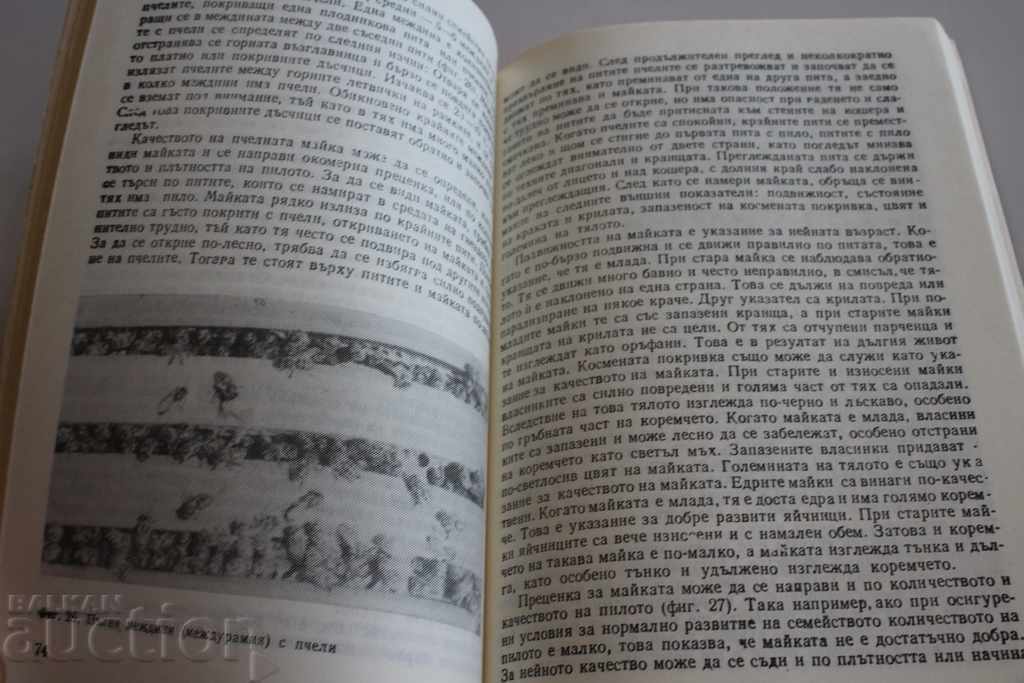 Δημοπρασία Συμβουλές για τον μελισσοκόμο μέλι μέλισσα μέλι μελισσοκόμος Δημοπρασία Συμβουλές για τον μελισσοκόμο μέλι μέλισσα μέλι μελισσοκόμος