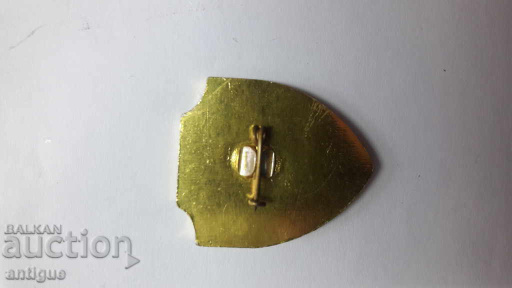 Old icon On San. Wives-89 with price 15.00 BGN | € 7.67