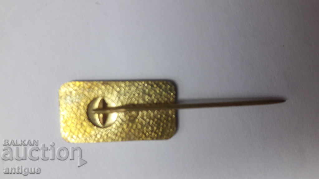 Auction  SB badge red cross