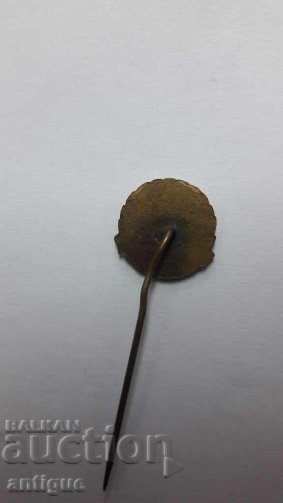 Auction I Serve Badge - B.C. Auction I Serve Badge - B.C.