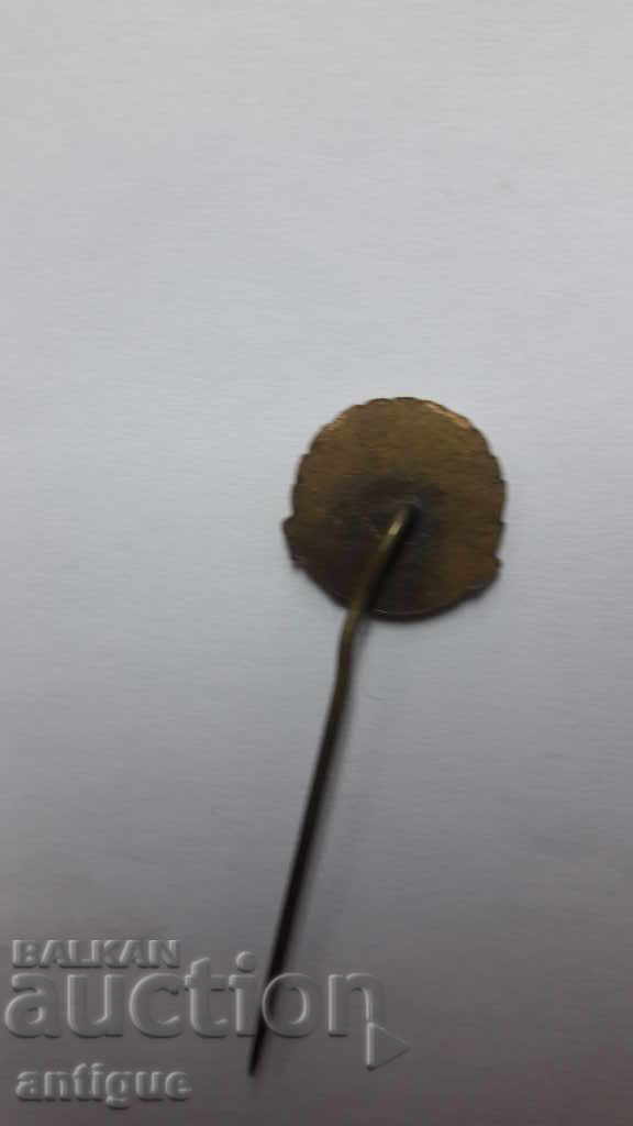 Delivery of I Serve Badge - B.C. Delivery of I Serve Badge - B.C.