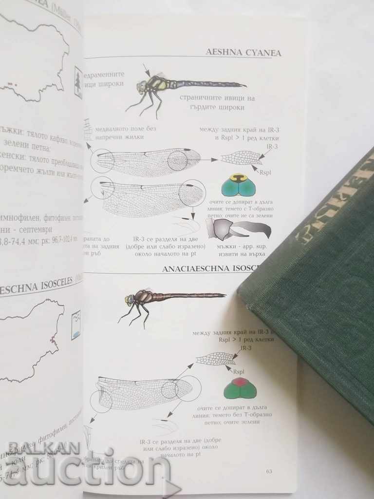 Аукцион Джобен полеви определител на водните кончета на България Аукцион Джобен полеви определител на водните кончета на България