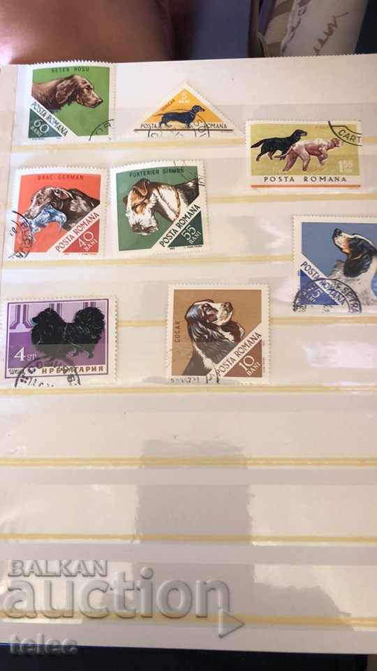 Dog brands + bonus with price 5.00 BGN | € 2.56 Dog brands + bonus with price 5.00 BGN | € 2.56