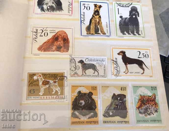 Auction Dog brands + bonus Auction Dog brands + bonus