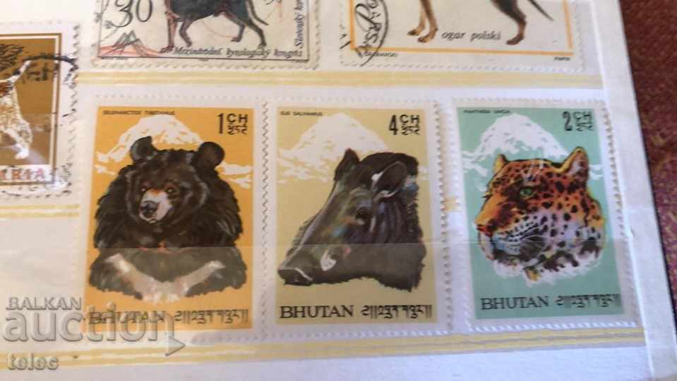 Dog brands + bonus - 5 Dog brands + bonus - 5