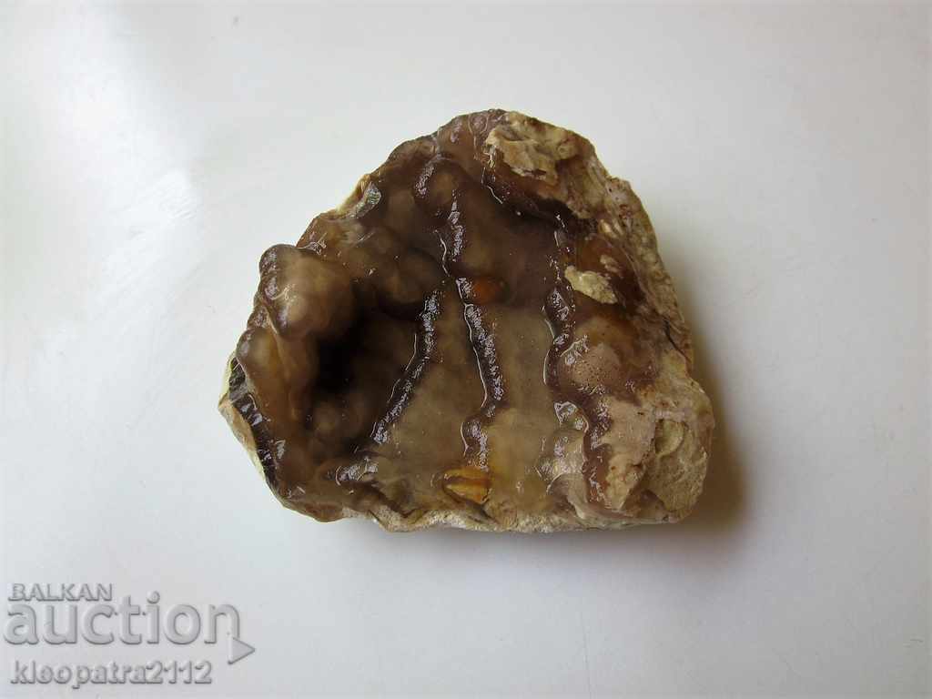 FOSSIL? - VERY RARE AND BEAUTIFUL. with price 10.00 BGN | € 5.11 FOSSIL? - VERY RARE AND BEAUTIFUL. with price 10.00 BGN | € 5.11
