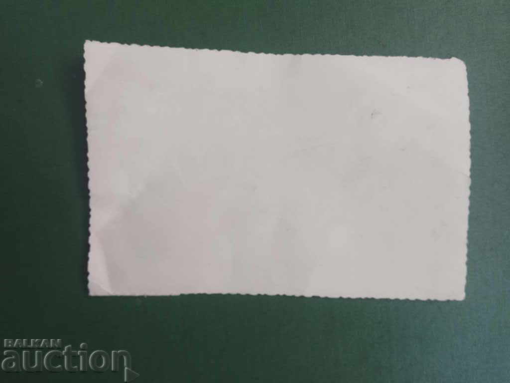 Many children on a trip with price 10.00 BGN | € 5.11 Many children on a trip with price 10.00 BGN | € 5.11