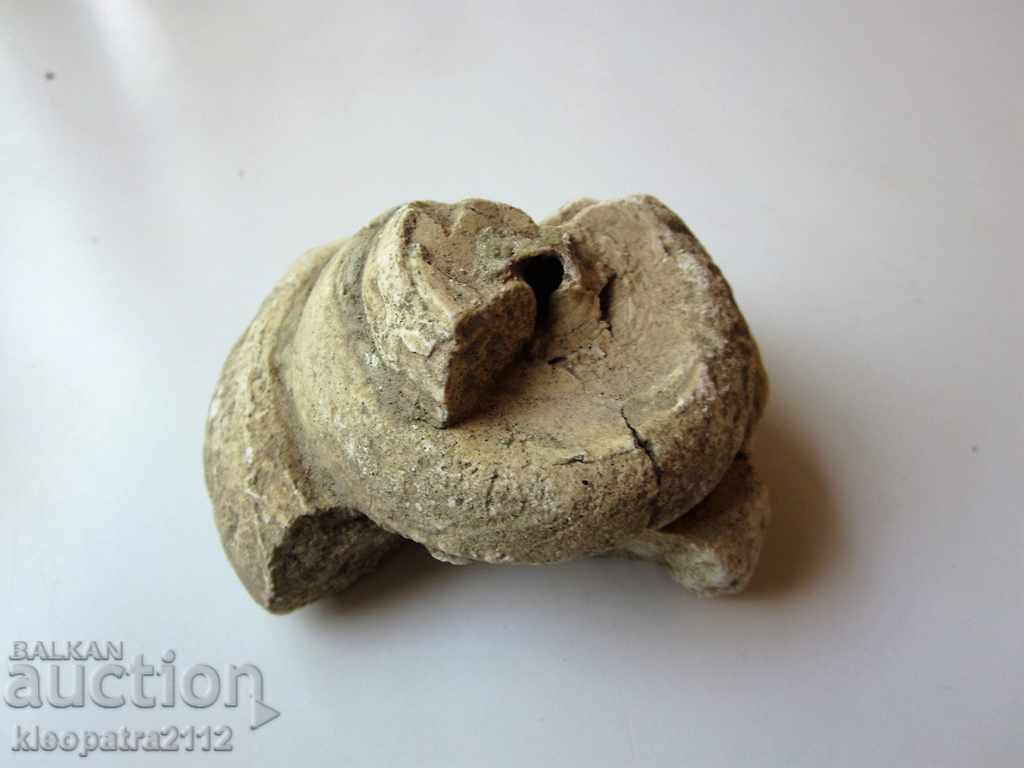 Auction FOSSIL - VERY RARE AND BEAUTIFUL. Auction FOSSIL - VERY RARE AND BEAUTIFUL.
