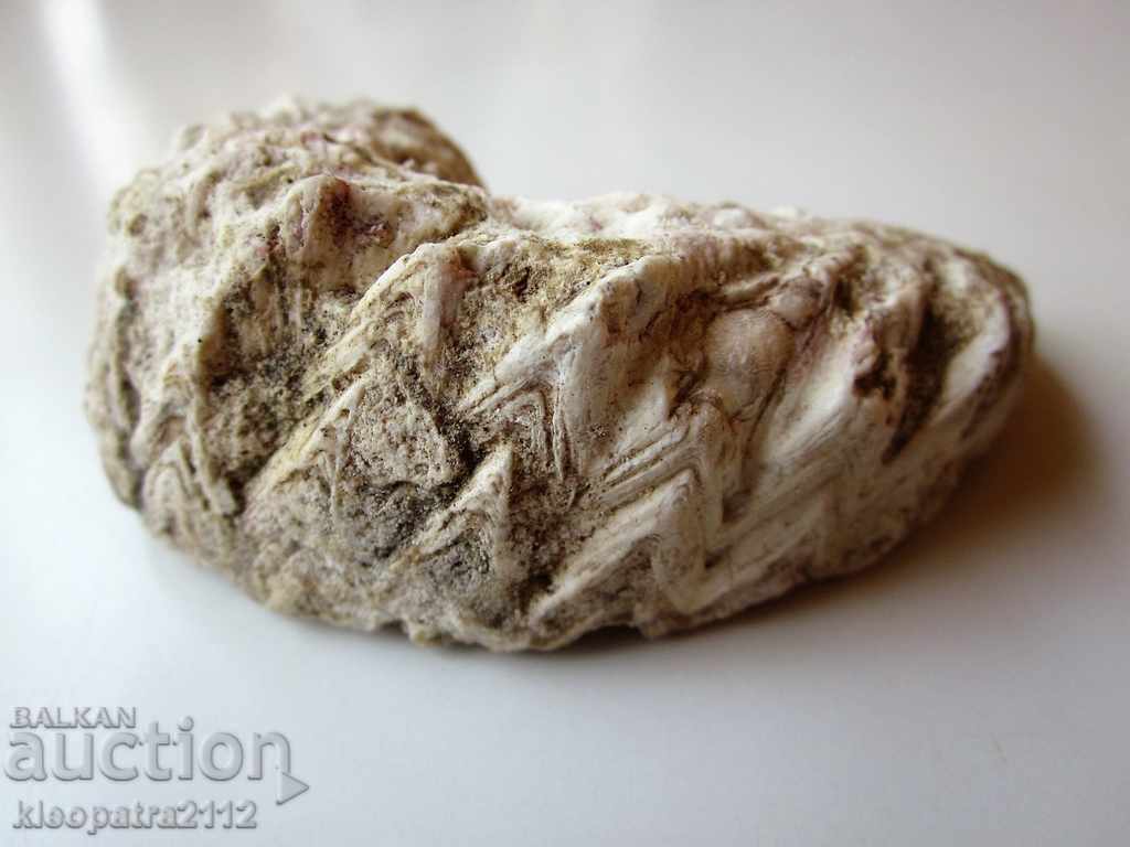 FOSSIL - VERY RARE AND BEAUTIFUL. with price 15.00 BGN | € 7.67 FOSSIL - VERY RARE AND BEAUTIFUL. with price 15.00 BGN | € 7.67